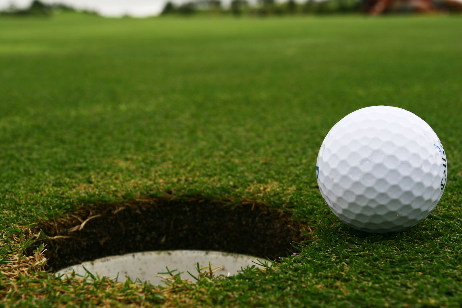 Touchdown Sponsorship 2026