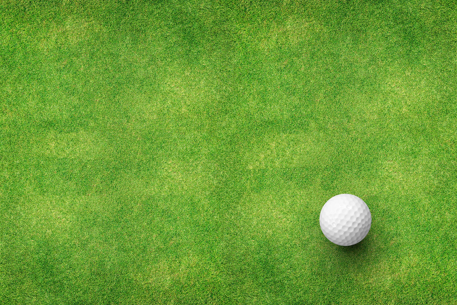 Golf Single 2026 Registration